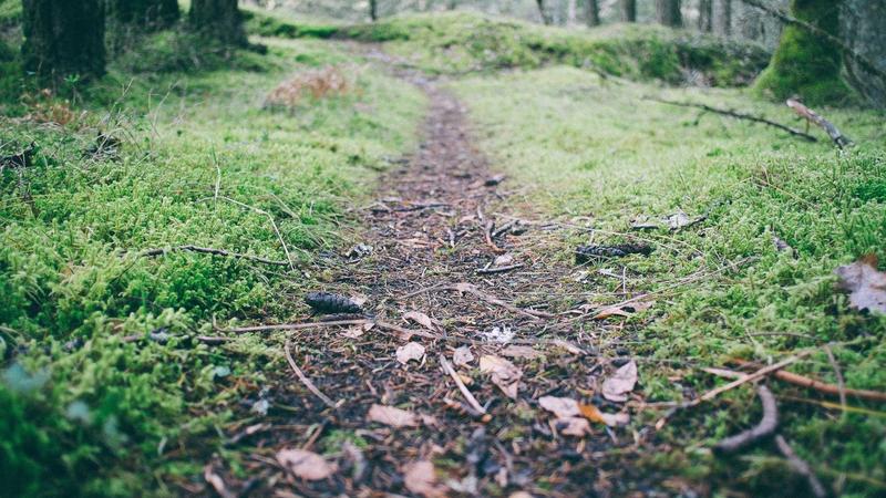 Cómo ahorrar dinero siendo estudiante universitario