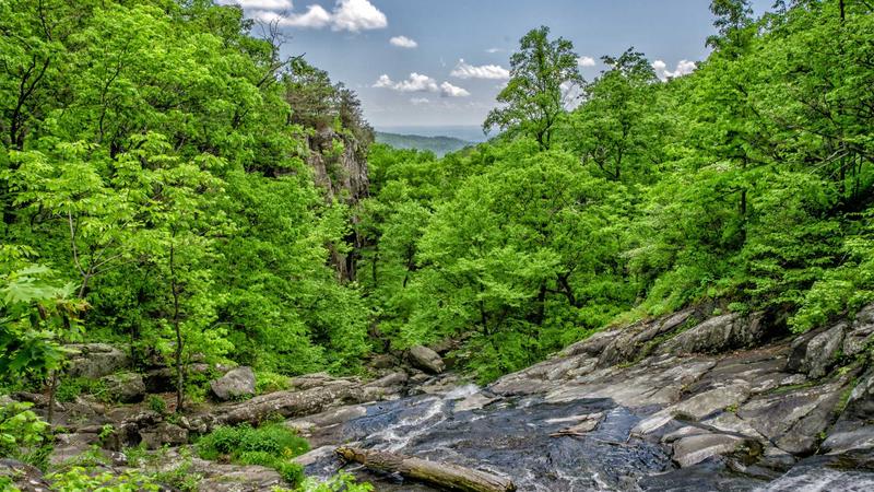 Cómo dejar de hacer compras impulsivas: la regla de las 24 horas