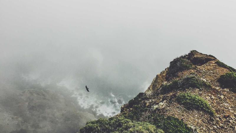 Cómo usar categorías de gastos para entender en qué se va tu dinero