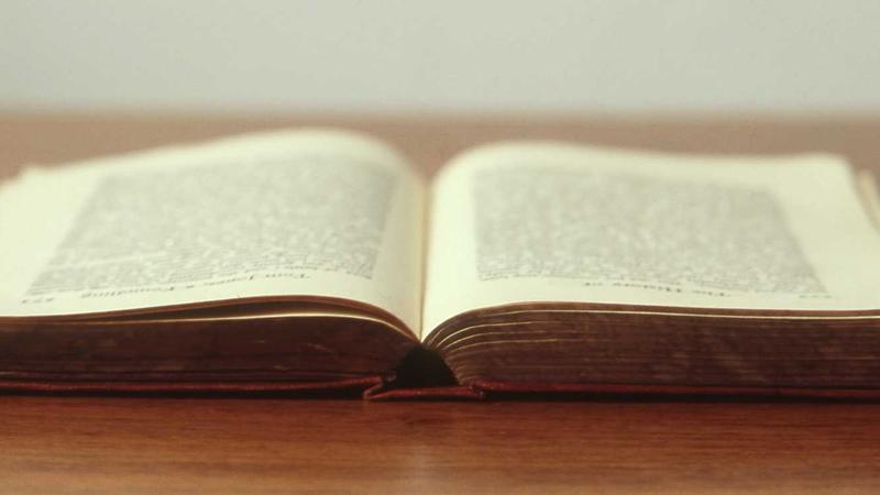 Cómo usar etiquetas en tus finanzas para un análisis más inteligente