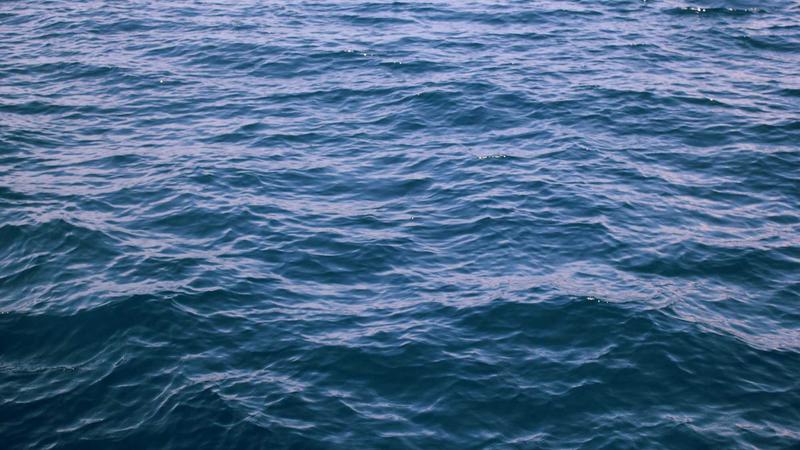 Diferencia entre necesidades y deseos: el primer paso para controlar tus gastos