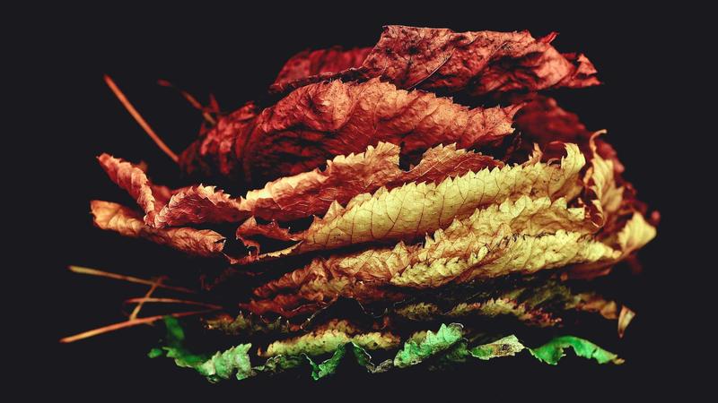 Finanzas personales en tiempos de inflación: estrategias para no perder poder adquisitivo