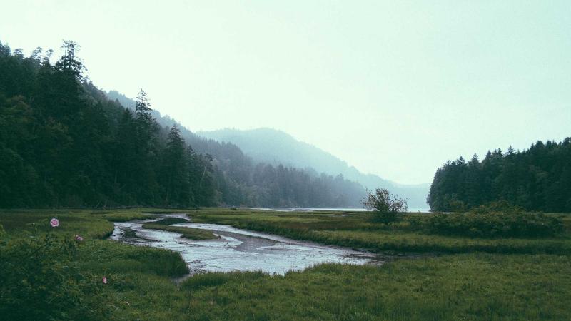 Gastos hormiga: identifica los pequeños vampiros de tu dinero
