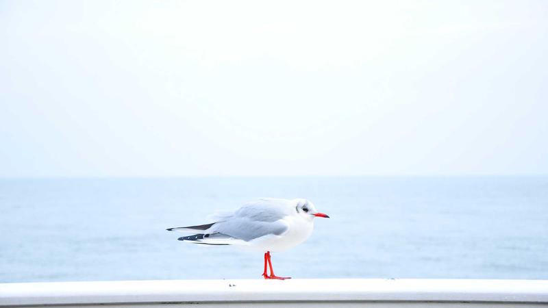 El presupuesto familiar: cómo organizarlo para que todos participen