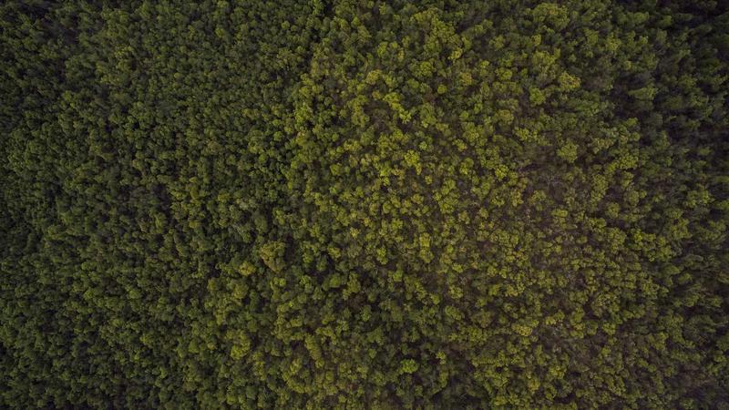 ¿Qué seguros realmente necesitas y cuáles puedes evitar?